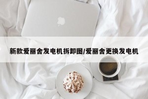新款爱丽舍发电机拆卸图/爱丽舍更换发电机
